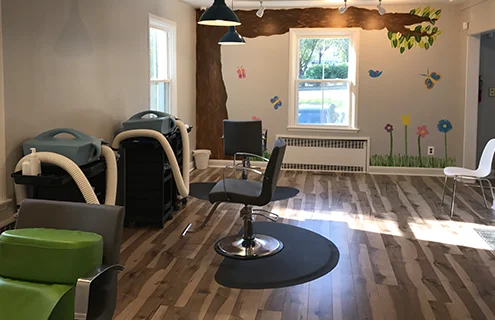 The inside treatment area of Lice Clinics of America Baltimore clinic.
