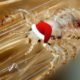 Head lice wearing a santa hat during the Holiday Lice Removal season