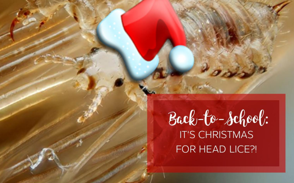 Lice infestation wearing a santa hat during the back to school season.