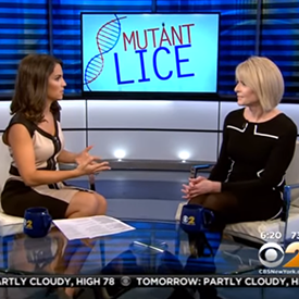 Mutant lice discussion on cbs news