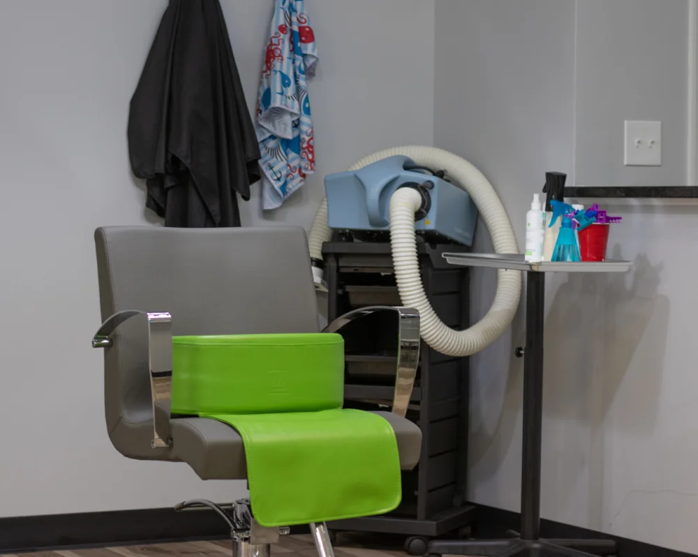 Treatment chair and AirAlle